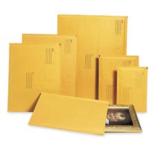 Envelopes,No. 2,Bubble Cushioned,8-1/4"x12"