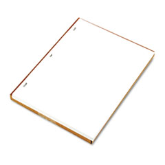Plain Ledger Paper, f/Minute Book,11"x8-1/2", 100/BX, White